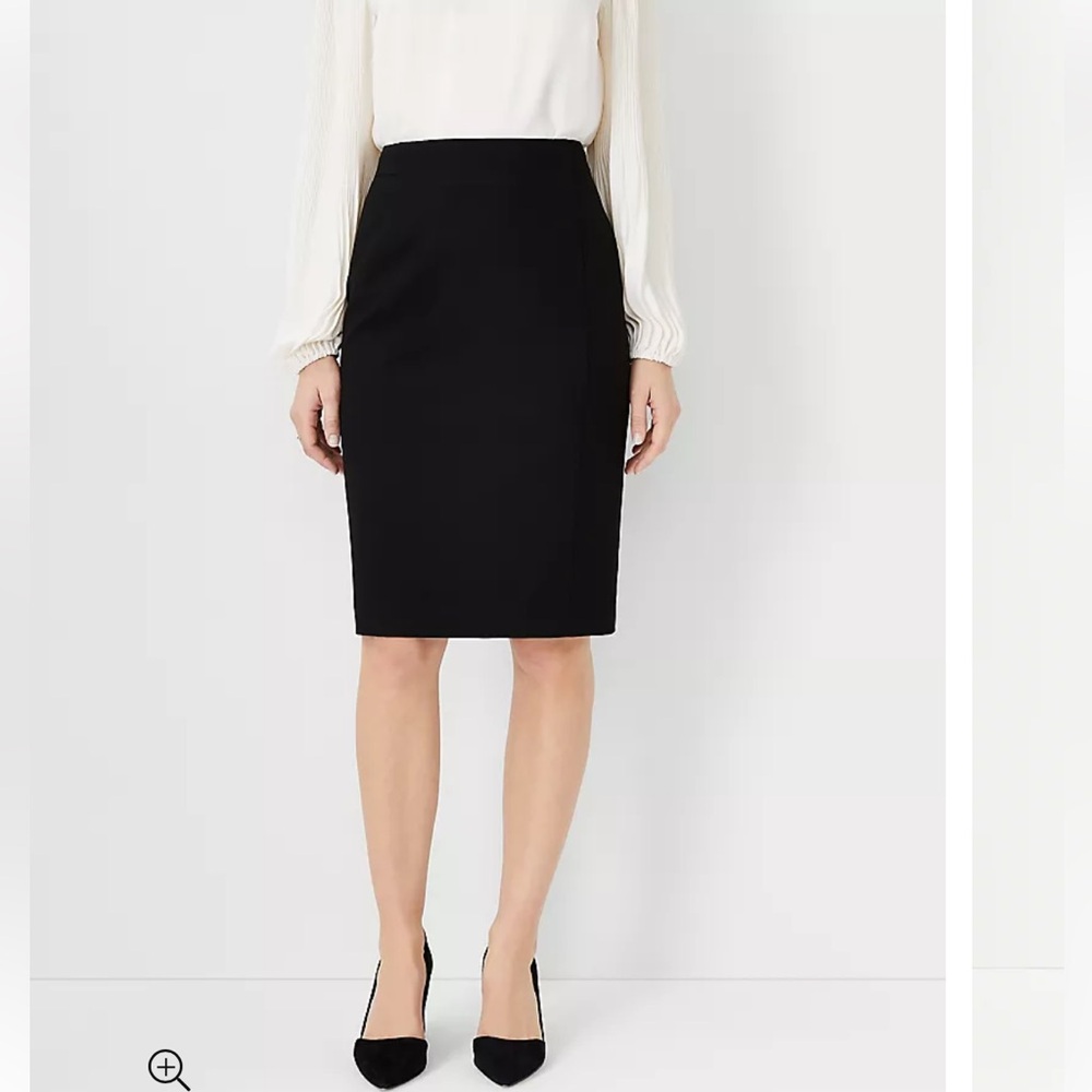 NWT Ann Taylor Pencil Skirt